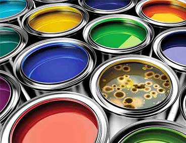 Paint and coatings